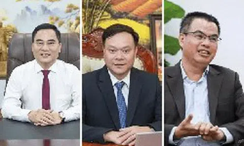 Cao su Miền Nam, Đạm Ninh Bình, Apatit Việt Nam đồng loạt thay Tổng giám đốc