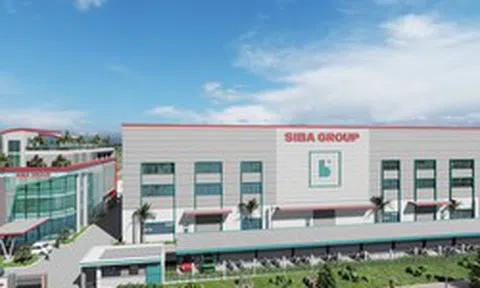 Siba Group chốt ngày phát hành cổ phiếu ESOP