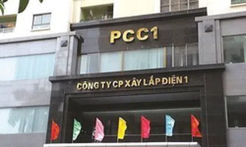 Nhóm CII tiếp tục tăng sở hữu tại công ty của nữ Chủ tịch sinh năm 1999