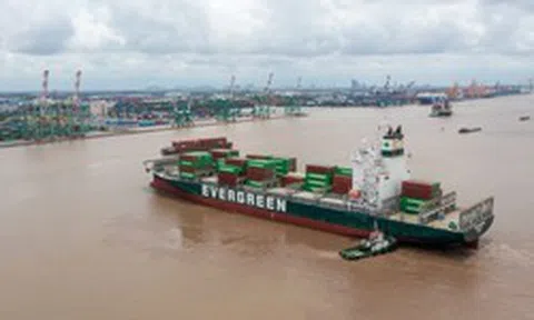 Viconship lên kế hoạch tăng vốn điều lệ vượt 5.800 tỷ đồng