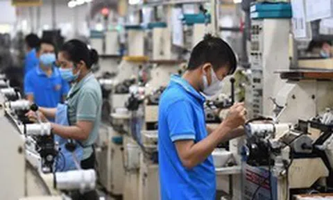 Từ mai (10/9), người lao động có thể bị phạt tiền lên đến 100 triệu đồng nếu vi phạm điều sau