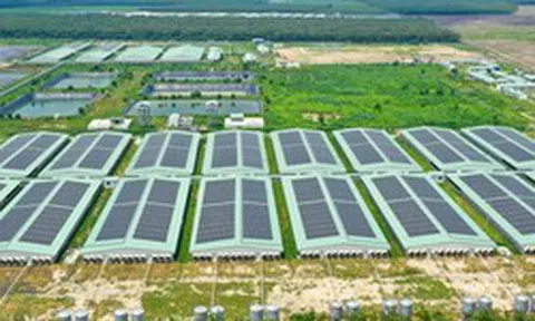 Baf Việt Nam thành lập công ty con chế biến thực phẩm tại Gia Lai