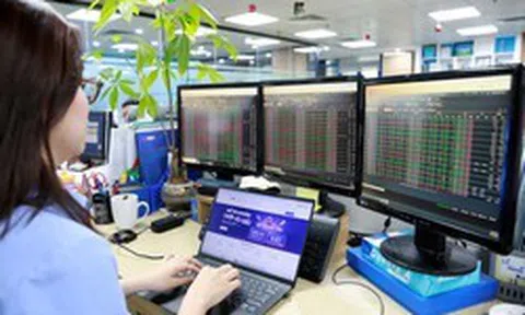 Cổ phiếu phân hóa mạnh: Chuyên gia MBS hướng dẫn cách nhận diện "cơ hội vàng"