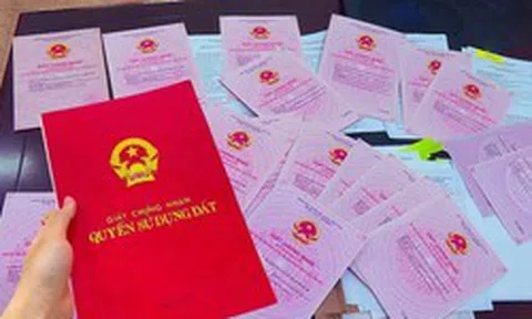 Hồ sơ đất đai bị trả nhiều lần nhưng thuê “cò” làm lại nhanh, Bộ Nông nghiệp và Môi trường yêu cầu chấm dứt