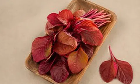 Rẻ bèo, loại rau giàu sắt ngang thịt bò, chợ Việt bán đầy: Rau gì mà bổ dưỡng đến vậy?