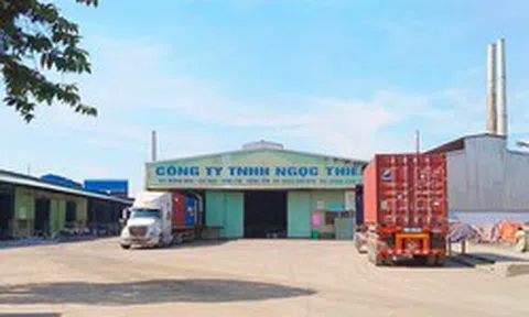 Nợ hơn 536 tỷ đồng liên quan đến thuế, một công ty có Phó Tổng giám đốc đang bị điều tra về tội lừa đảo