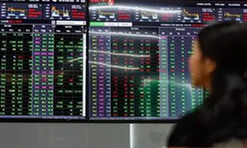 Nhóm Gelex đồng loạt giảm sàn, VN-Index rời xa mốc 1.800 điểm