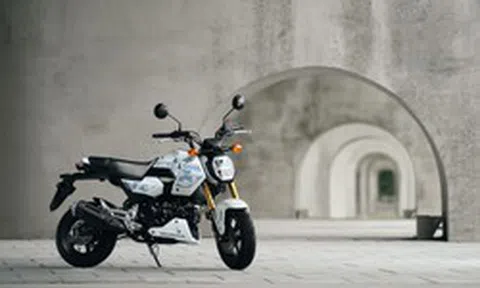 Honda MSX GROM 2027 tung bản rằn ri độc lạ khiến dân chơi xe côn tay tí hon phát sốt