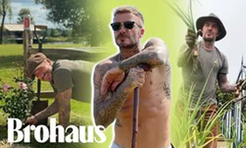 Beckham về quê làm vườn