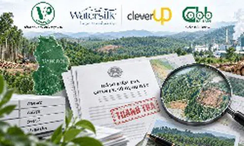 Doanh nghiệp sở hữu Watersilk, CleverUp, Giấy Bãi Bằng và đơn vị liên quan bị Thanh tra Chính phủ chỉ ra loạt vi phạm