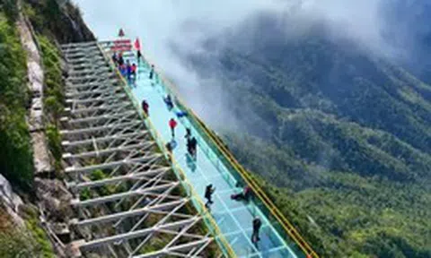 Làm rõ việc cầu kính cao nhất Việt Nam tạm dừng hoạt động