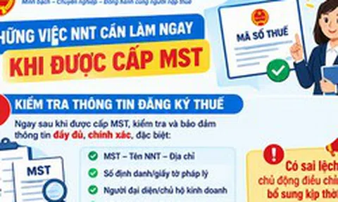 Ngay sau khi được cấp mã số thuế, người nộp thuế cần làm gì?