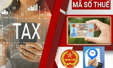 Cơ quan thuế thông báo quan trọng: Người vừa được cấp mã số thuế cần kiểm tra ngay 5 thông tin