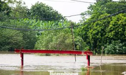 3 cây cầu 'mất dấu' trong nước lũ, người dân Hà Nội phải đi vòng 10 km để sang sông