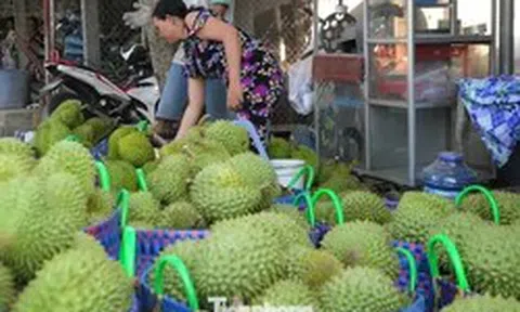Hết thời Trung Quốc dễ dãi, chuộng hàng tiểu ngạch