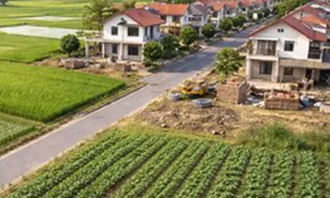 Chuyển đất nông nghiệp sang đất ở phải phù hợp quy hoạch nào?