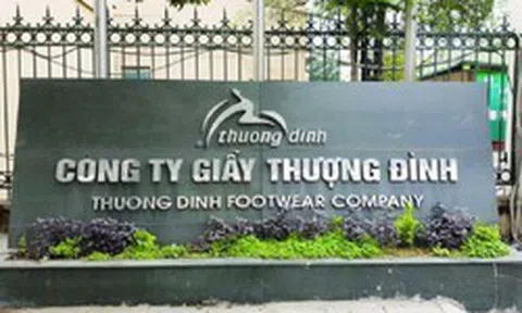Giầy Thượng Đình bổ nhiệm Tổng giám đốc mới SN 1977 trước đợt tăng vốn gấp 23 lần