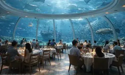 Tỷ phú Phạm Nhật Vượng đang cho xây dựng nhà hàng dưới nước lớn nhất thế giới với 1.000 chỗ ngồi tại siêu dự án 6.200ha vốn đầu tư 18 tỷ USD