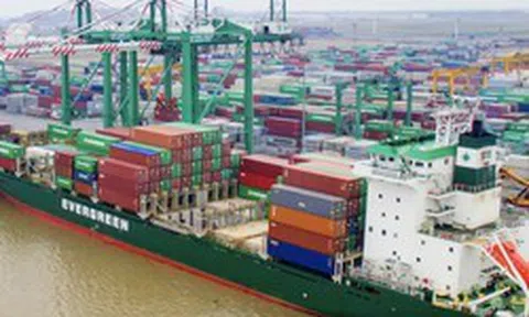 Viconship muốn vay 2.200 tỷ đồng từ các công ty con