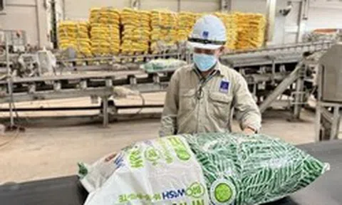 Một doanh nghiệp sắp trả cổ tức tiền mặt 14% trong tháng sau