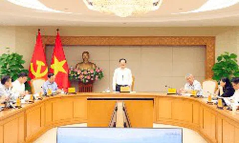 Dự thảo Luật Đất đai (sửa đổi): Nghiên cứu thuế chống đầu cơ và bỏ hoang đất