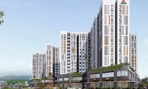 Chương Dương Corp muốn vay ngân hàng 500 tỷ đồng