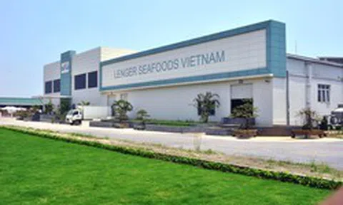 Tập đoàn Hà Lan bán nhà máy chế biến nghêu doanh thu hơn 500 tỷ/năm, công suất 300 tấn/ngày tại Ninh Bình