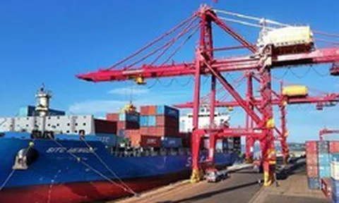 Pakistan săn chục nghìn tấn 'vàng xanh' của Việt Nam: thuế nhập khẩu 0%, Việt Nam là ông trùm đứng thứ 5 thế giới