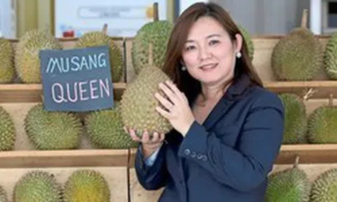 Đối thủ Việt Nam xuất khẩu sầu riêng theo cách chưa từng có: Cho 2 tấn trái cây đi tàu biển tới Trung Quốc, bên trong container có công nghệ đặc biệt