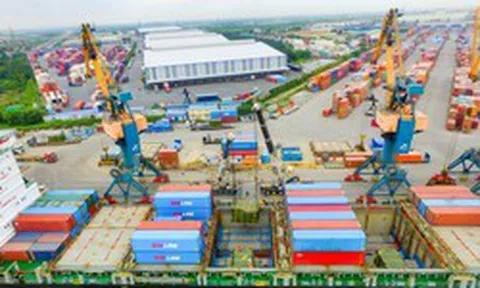 Vừa trở thành cổ đông lớn, Gelex bán sạch 9,7 triệu cổ phiếu Hải An, thu về gần 500 tỷ đồng