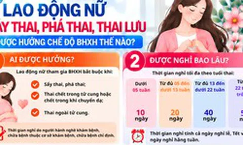 Lao động nữ sảy thai, thai lưu được hưởng chế độ BHXH thế nào?