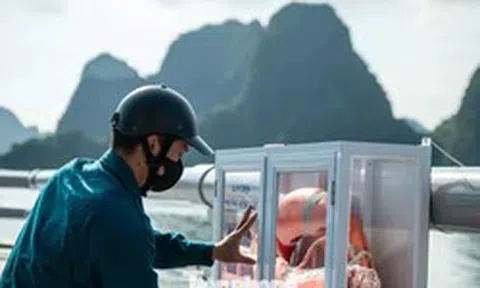Quảng Ninh giăng 'lưới” áo phao an toàn dọc đường bao biển