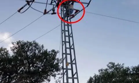 Trèo lên cột điện chụp ảnh, bé gái 12 tuổi bị điện giật nguy kịch