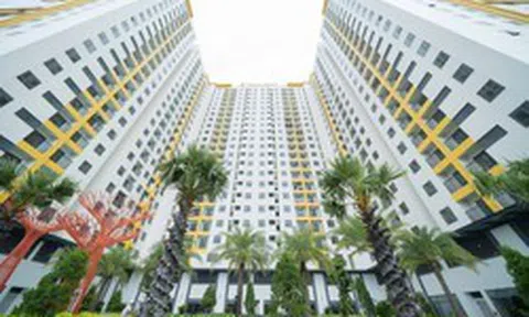 Tecco Felice Homes Hồ Chí Minh: 1,4 tỷ đồng sở hữu căn hộ 2PN – Nhận nhà ở ngay, sổ hồng trao tay