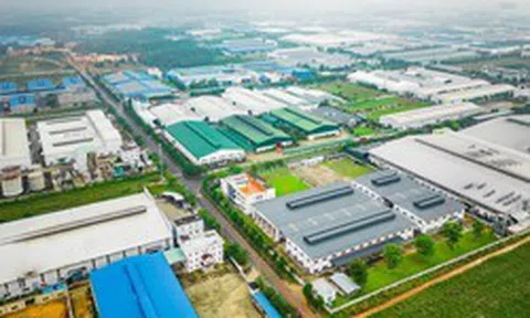 Nam Tân Uyên bị phạt và truy thu thuế gần 10 tỷ đồng