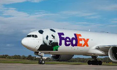 Đúng 7h sáng, một máy bay Boeing 777F từ Trung Quốc chở “quốc bảo” 6 tuổi đến Mỹ
