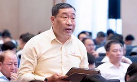 ĐBQH đề nghị cân nhắc việc hoãn xuất cảnh, cắt điện nước để cưỡng chế xử phạt