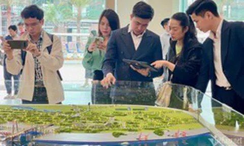 Tất cả người dân sở hữu bất động sản chú ý quy định phạt đến 260 triệu đồng vừa áp dụng