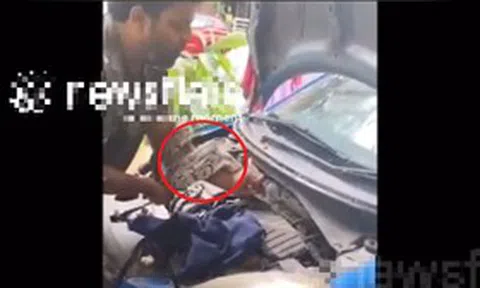 Vừa mở ô tô, người dân bỗng thấy cảnh tượng "nổi da gà"
