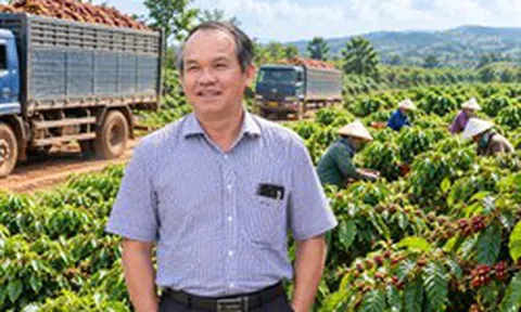 Bầu Đức có động thái đặc biệt tại Trung Quốc sau cú rót gần 800 tỷ vào loại cây tiêu thụ 29.000 tấn/ngày
