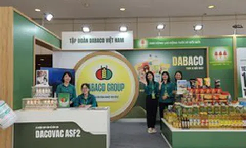Lãnh đạo Dabaco đăng ký mua 2 triệu cổ phiếu DBC