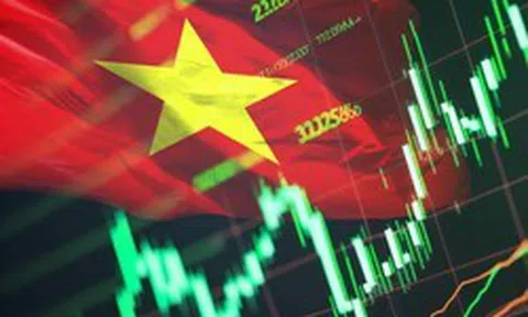 Góc nhìn chuyên gia: Hiệu ứng "tin ra là bán" có thể chưa kết thúc, một nhóm ngành được kỳ vọng là điểm sáng tăng trưởng trong quý 3