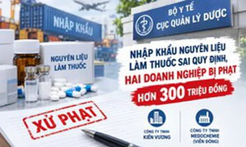 Nhập nguyên liệu làm thuốc sai quy định, hai doanh nghiệp bị phạt hơn 300 triệu