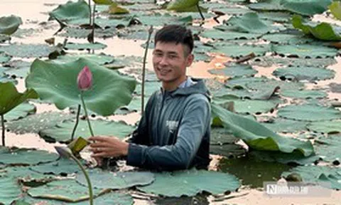 Quả ngọt bất ngờ cho chàng trai quyết “đổi đời” vùng đất ruộng trũng
