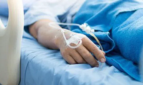 Đang hái chè, người phụ nữ bị con vật màu trắng cắn nguy kịch