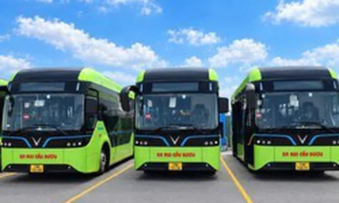 Doanh nghiệp nhà nước có hơn 10.000 nhân sự vừa đưa 28 xe buýt điện VinFast vào hoạt động
