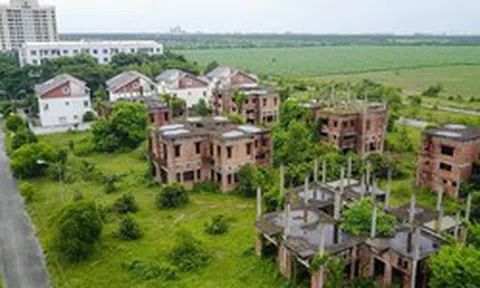 Đề xuất đánh thuế đất bỏ hoang cao gần 7 lần trong hạn mức