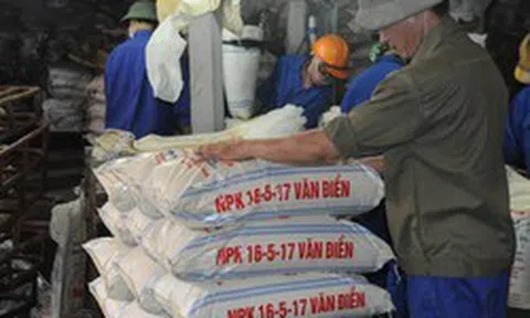 Phân lân Văn Điển bổ nhiệm một Phó Tổng Giám đốc
