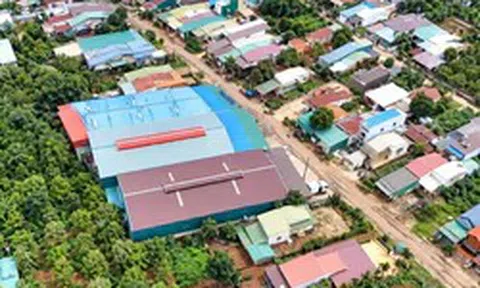 Vụ kho sầu riêng xây trái phép: Đắk Lắk lập 2 đoàn kiểm tra