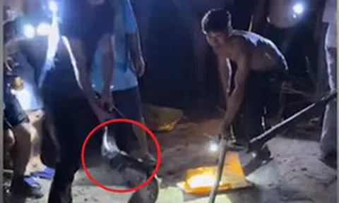 Nhìn ra vườn, người dân thấy cảnh tượng "nổi da gà" cả xóm kéo đến xem